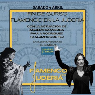 ENTRADAS ACTIVIDADES